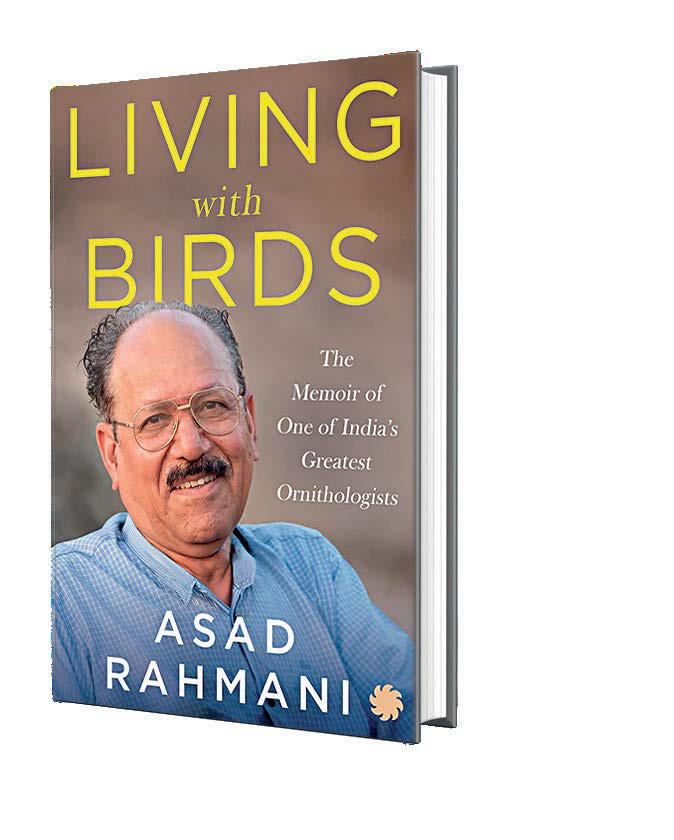 FOR THE LOVE OF BIRDS